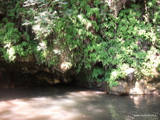 ldaia del Drago19-07-2015 10-21-55